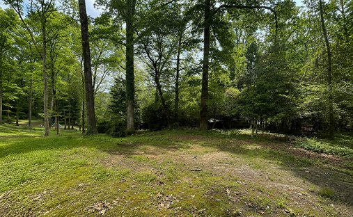 Terrain à Atlanta, Géorgie, États-Unis 1