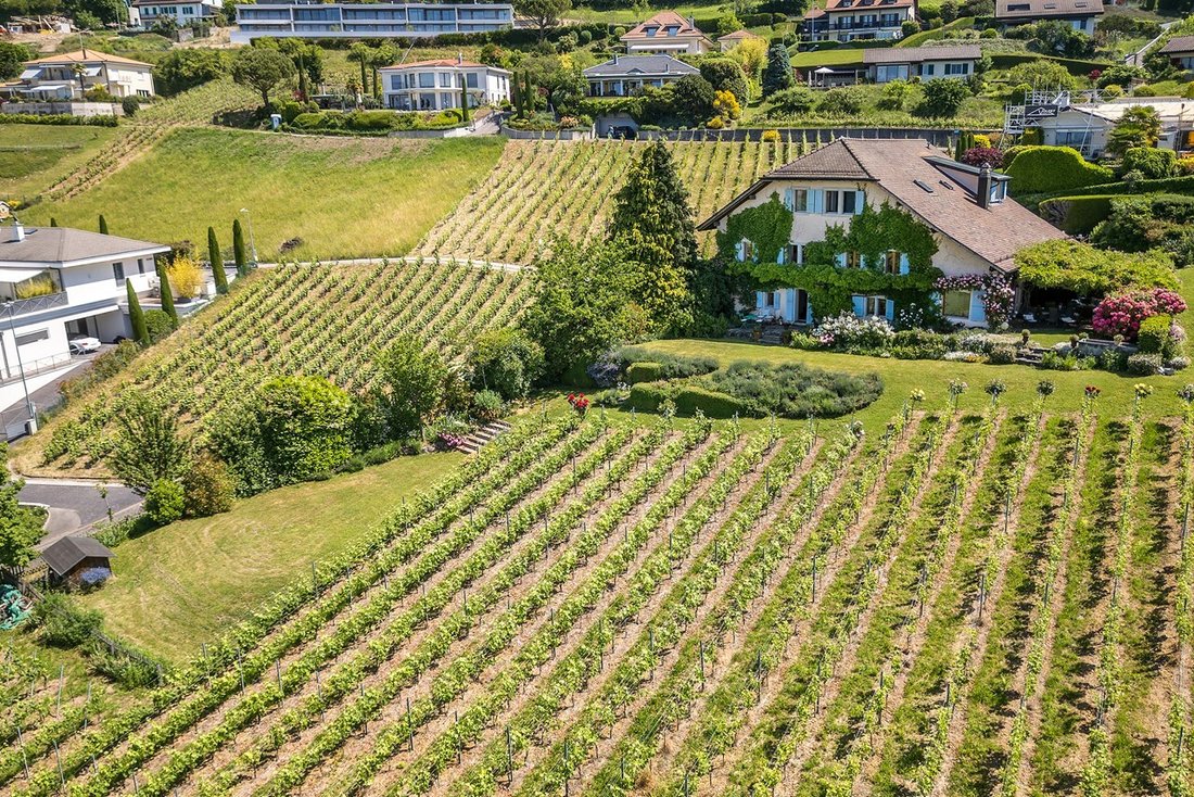 Villa in Lutry, Vaud, Switzerland 2 - 18091495