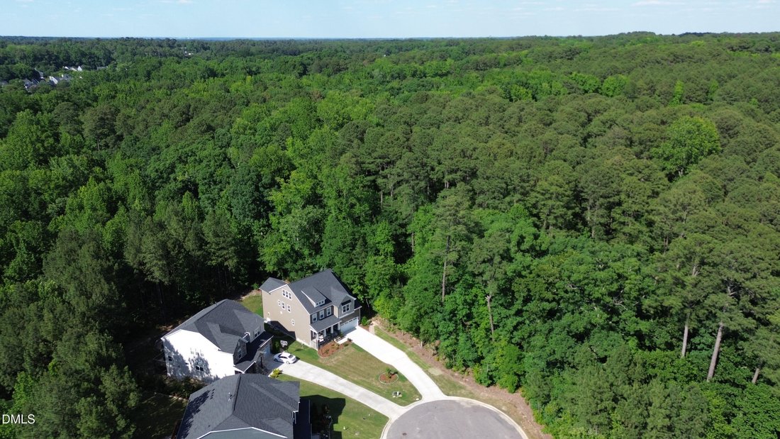 House in Apex, North Carolina, United States 2 - 18095244