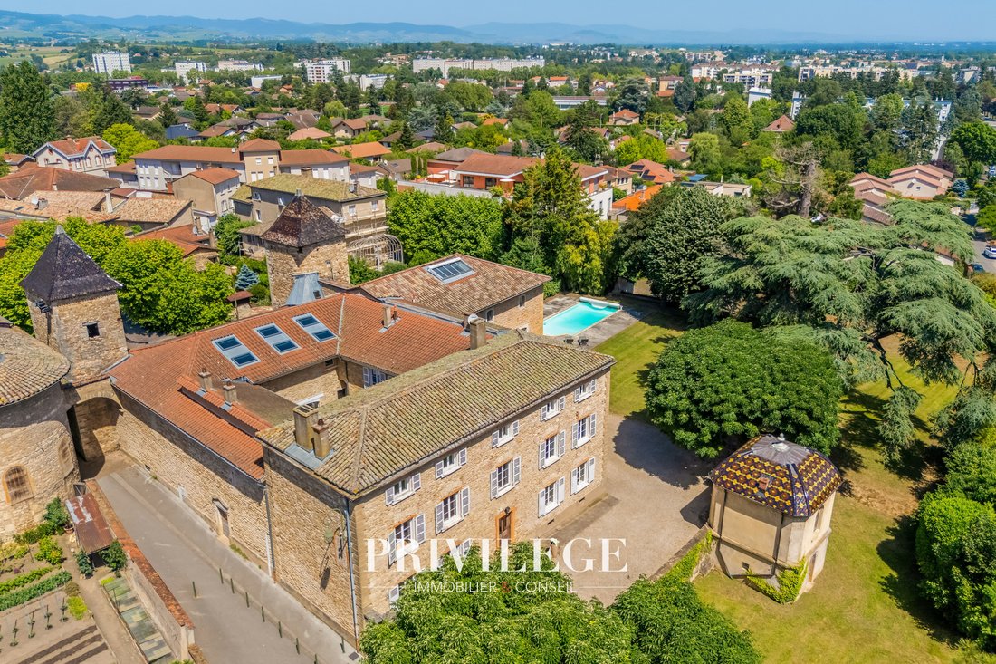 Castle in Limas, Auvergne-Rhône-Alpes, France 1 - 18096491