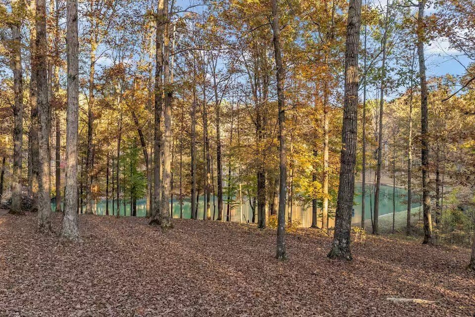 House in Franklin, Tennessee, United States 2 - 18106246