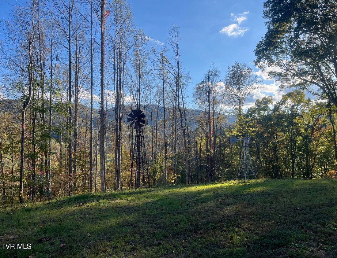House in Flag Pond, Tennessee, United States 3 - 18100651