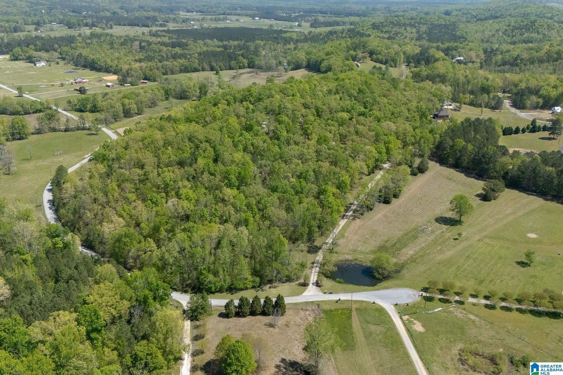 House in Ashville, Alabama, United States 2 - 18095822
