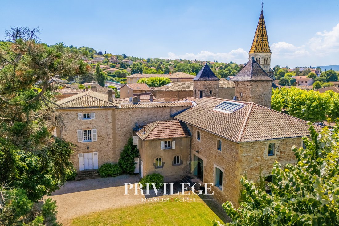 Castle in Limas, Auvergne-Rhône-Alpes, France 3 - 18096491