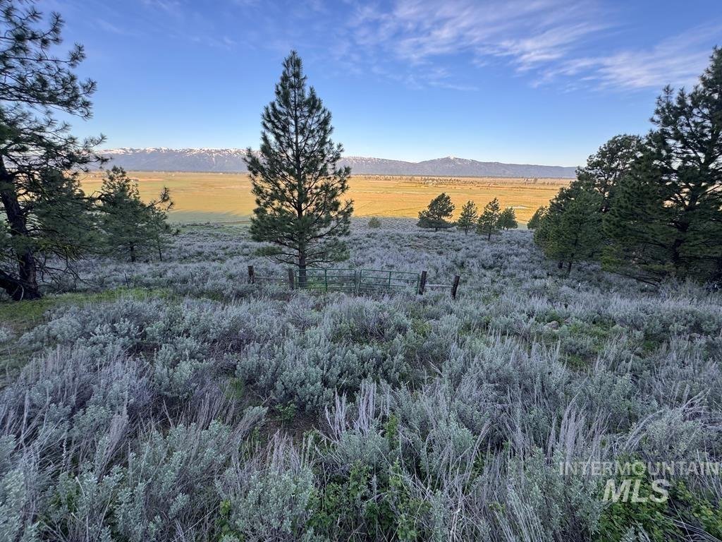 Land in McCall, Idaho, United States 5 - 18103280