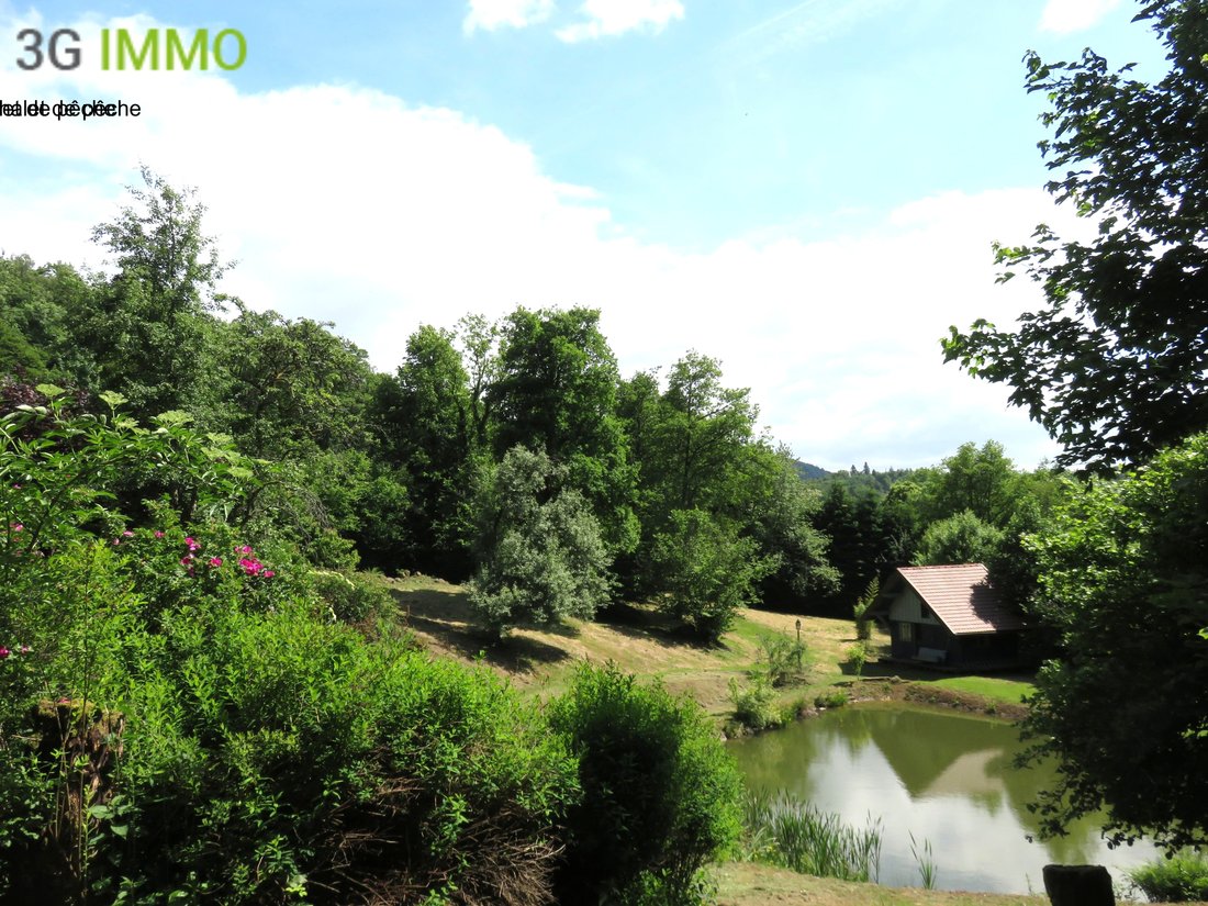 House in Fresse, Bourgogne – Franche-Comté, France 4 - 18093497