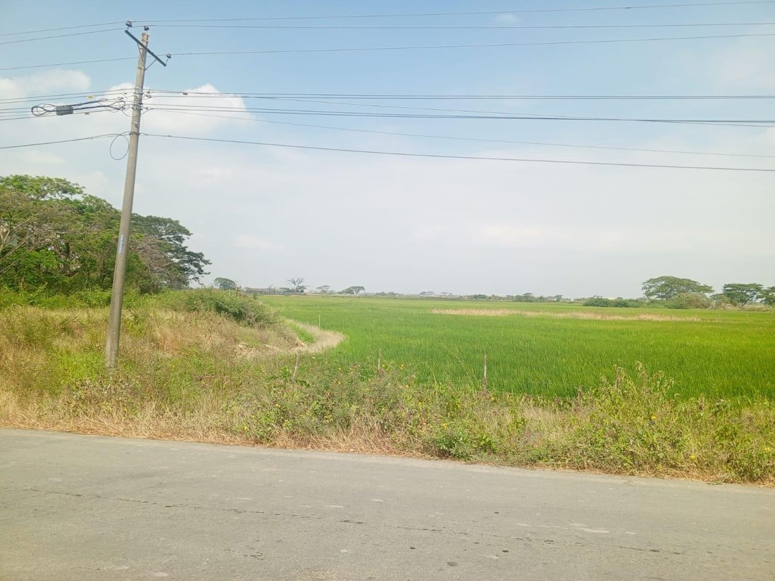 Land in Samborondón, Guayas, Ecuador 2 - 18093117