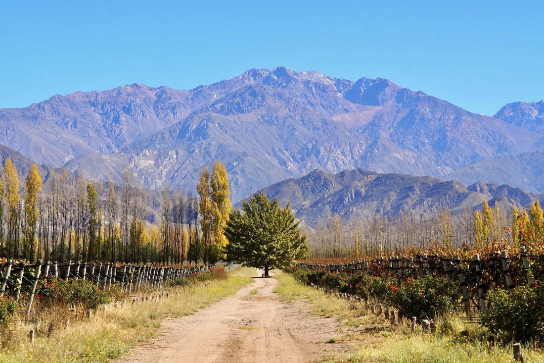 Finca in San Carlos, Mendoza Province, Argentina 2 - 18090971