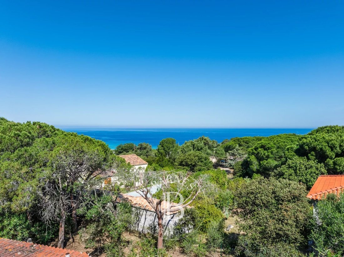 Land in L'Île-Rousse, Corsica, France 2 - 17930862