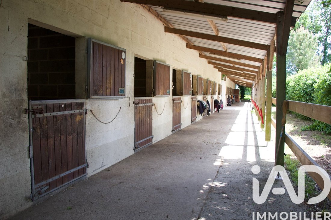 House in Verrie, Pays de la Loire, France 2 - 18097071