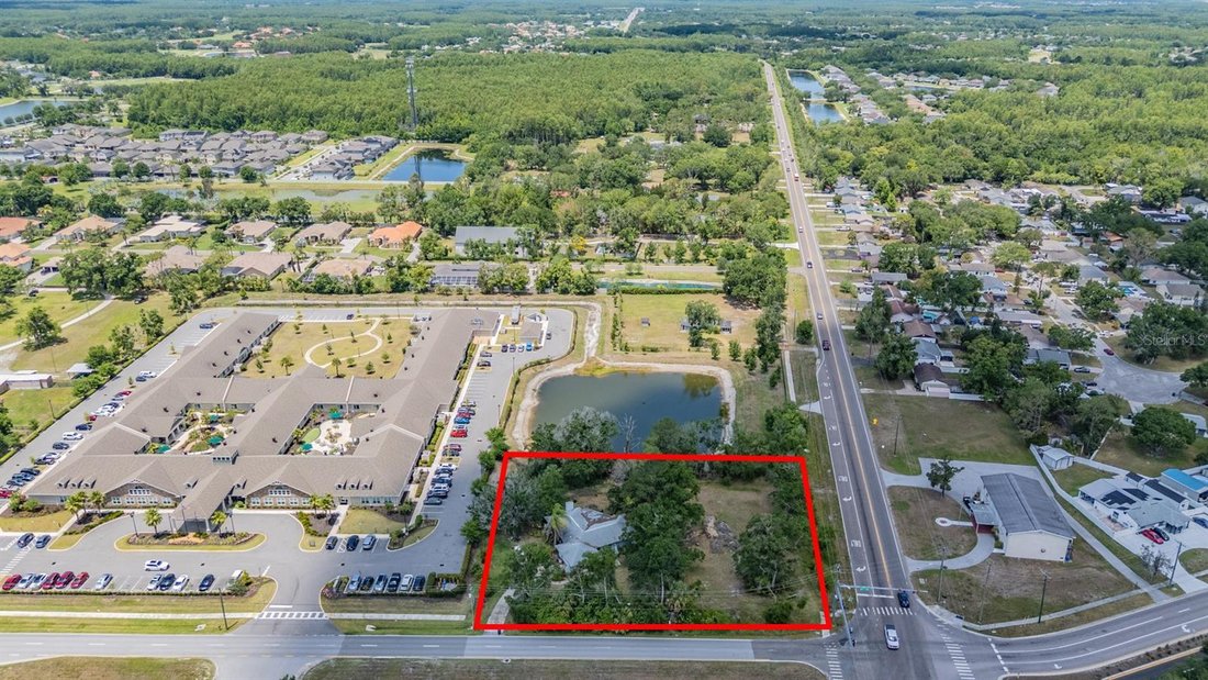 House in Land O' Lakes, Florida, United States 3 - 18095512