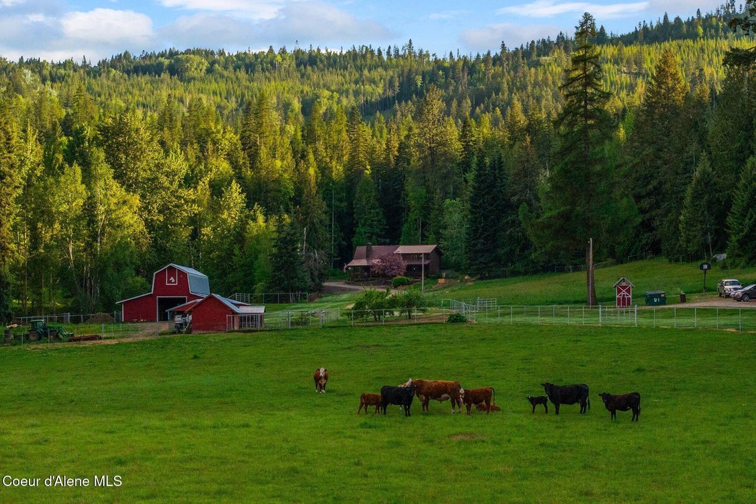 House in Priest River, Idaho, United States 2 - 18104682