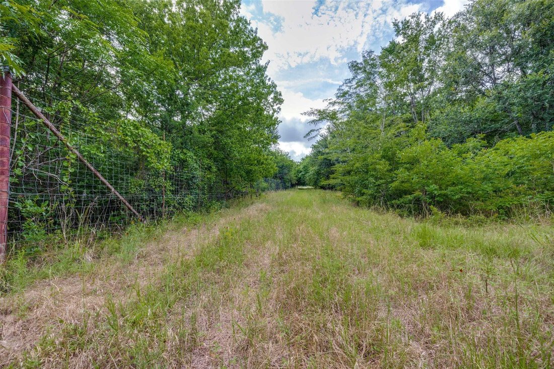 Land in Savoy, Texas, United States 5 - 18107803