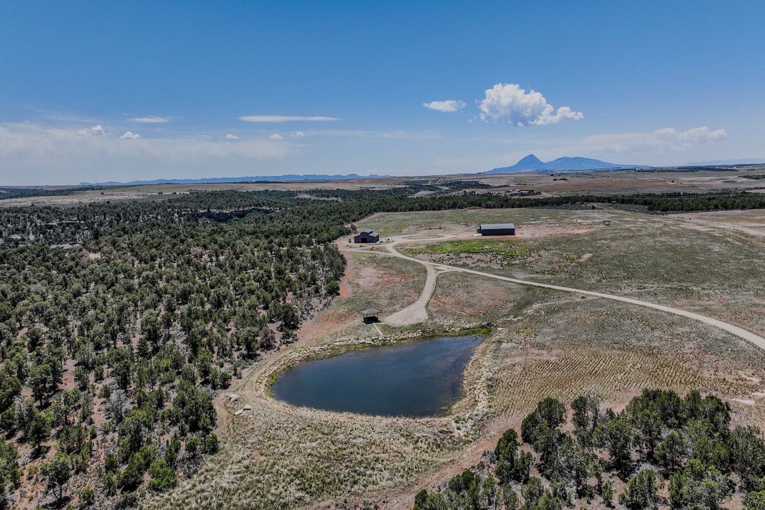 House in Pleasant View, Colorado, United States 3 - 17837768