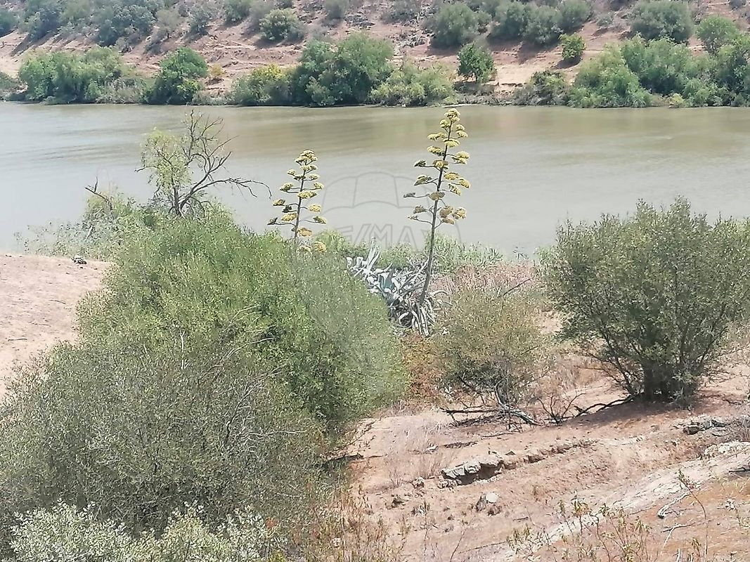 Land in Santana de Cambas, Beja, Portugal 5 - 18101236