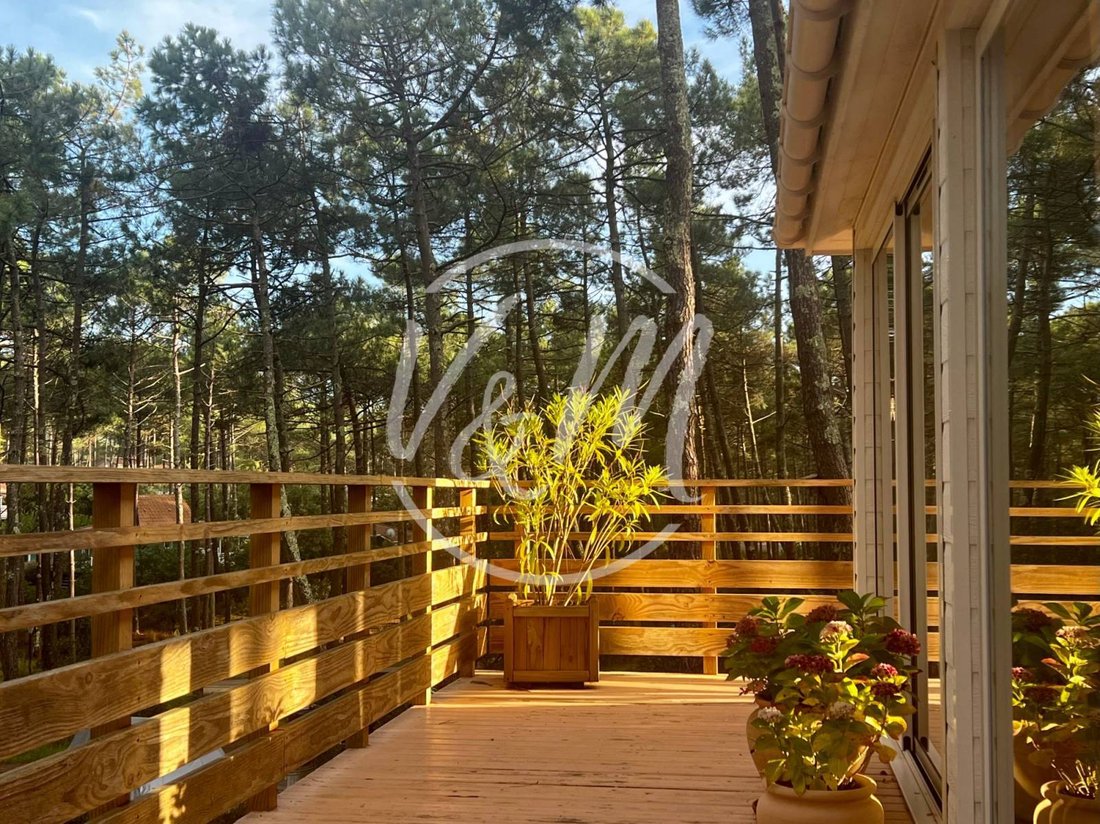 Chalet a Le Porge, Nuova Aquitania, Francia 1 - 16479444