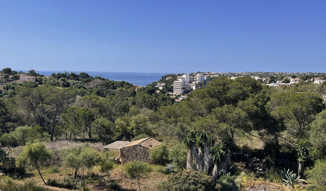 Land in Santanyi, Balearic Islands, Spain 4 - 17053708