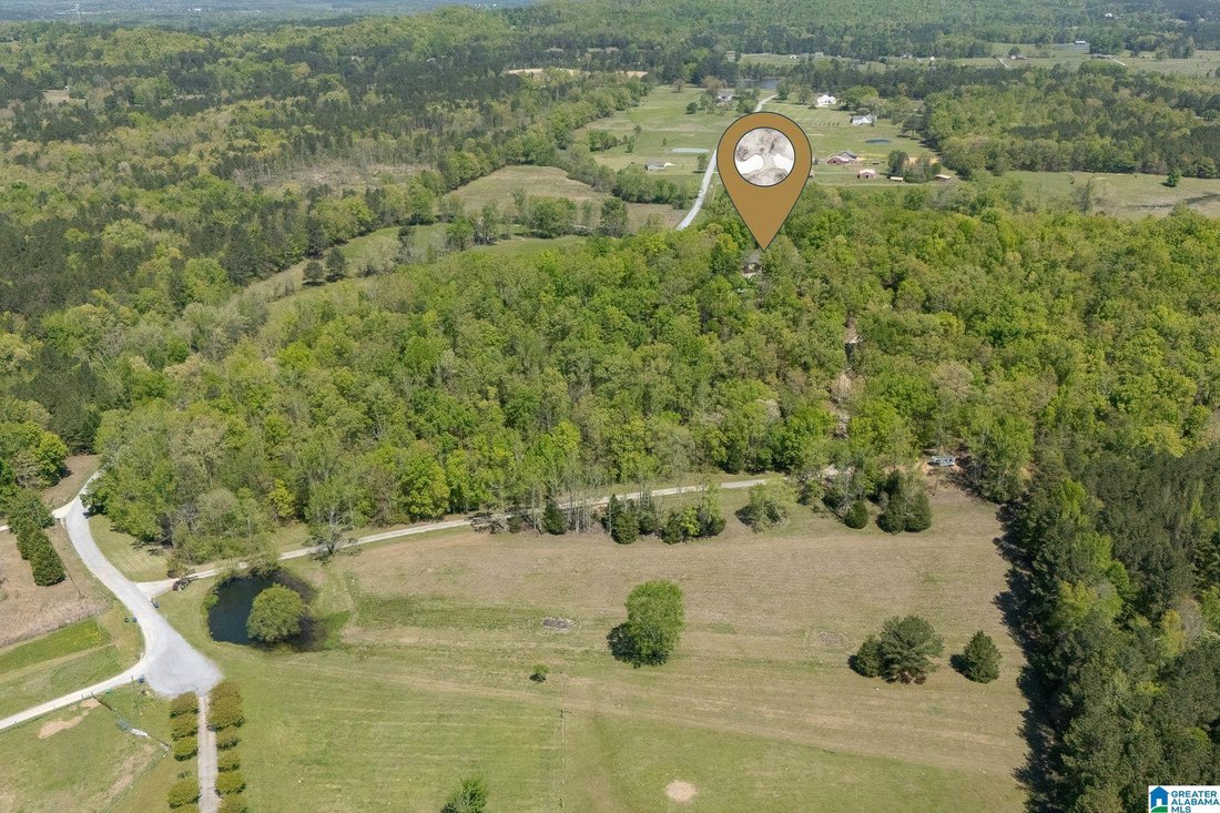 House in Ashville, Alabama, United States 1 - 18095822