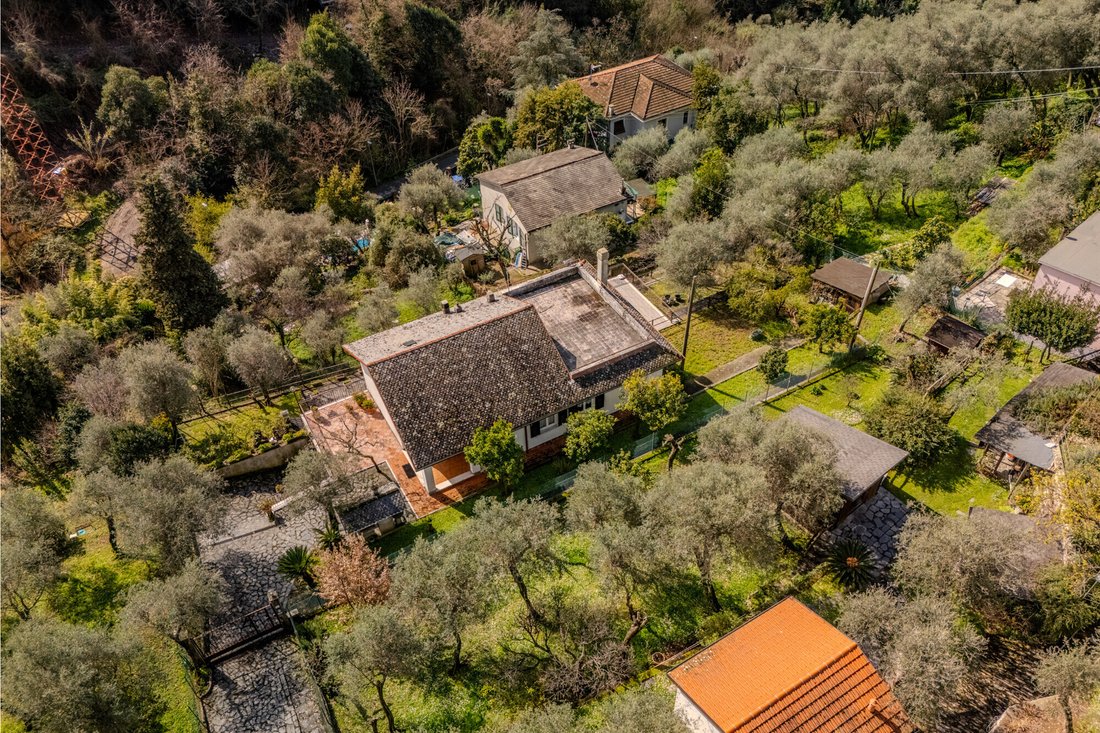 Villa in Zoagli, Liguria, Italy 4 - 18095118