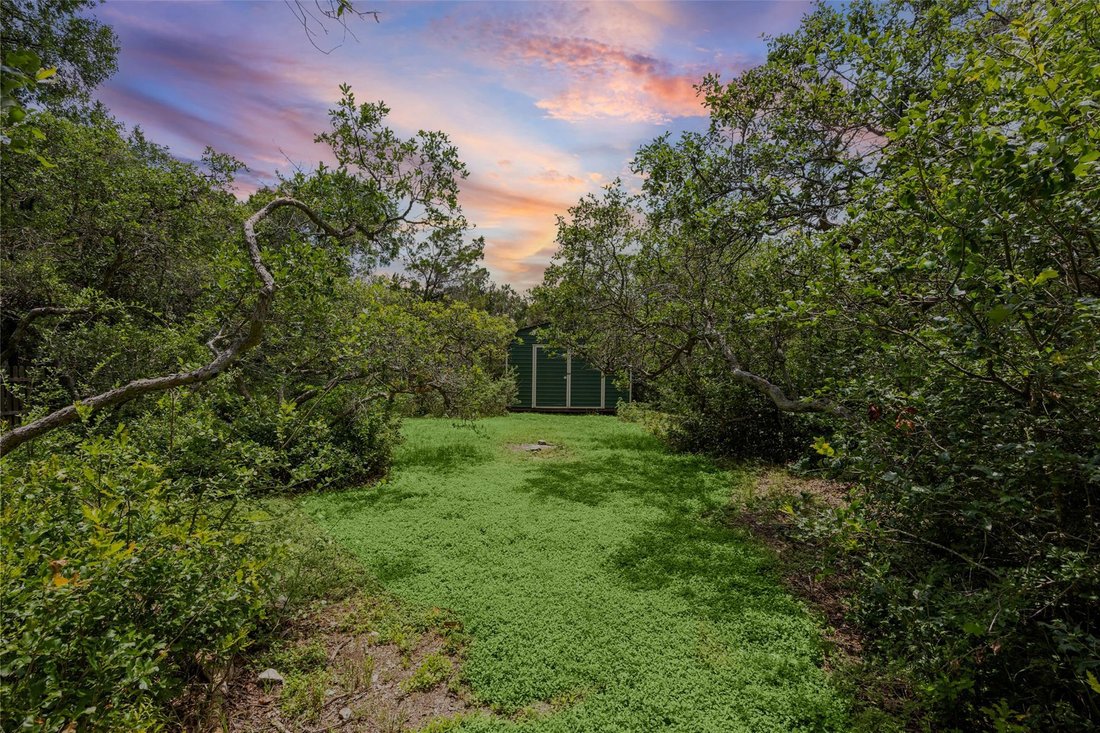House in Austin, Texas, United States 5 - 18099338