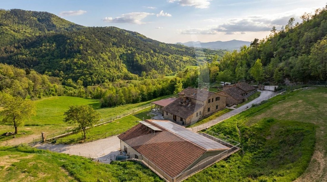 Farm Ranch in Sansepolcro, Tuscany, Italy 5 - 18096537