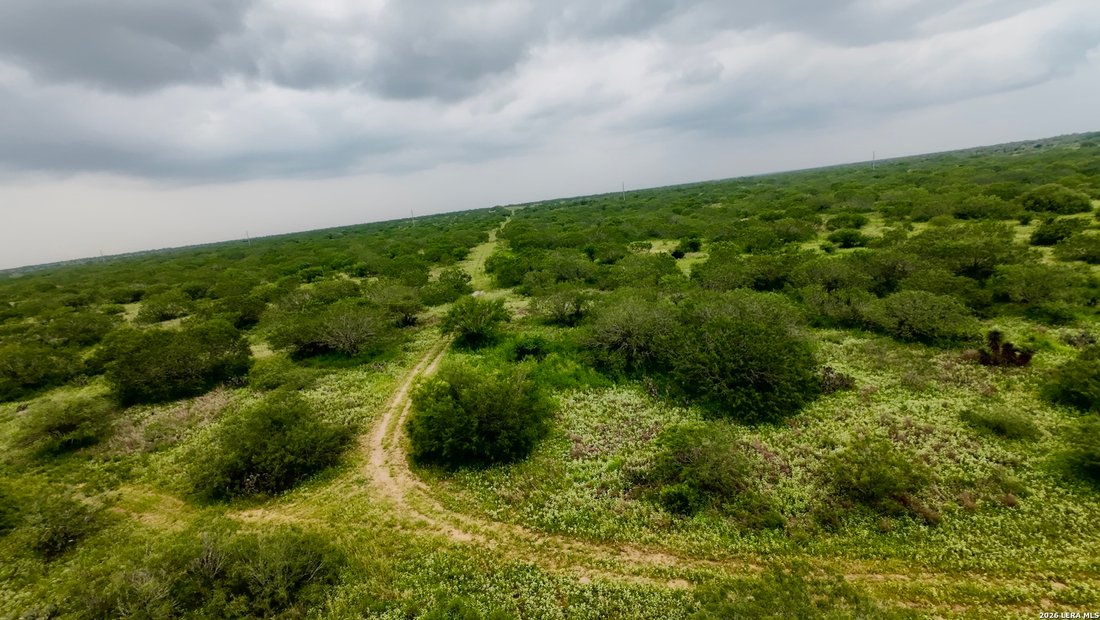 Farm Ranch in Realitos, Texas, United States 2 - 18108238