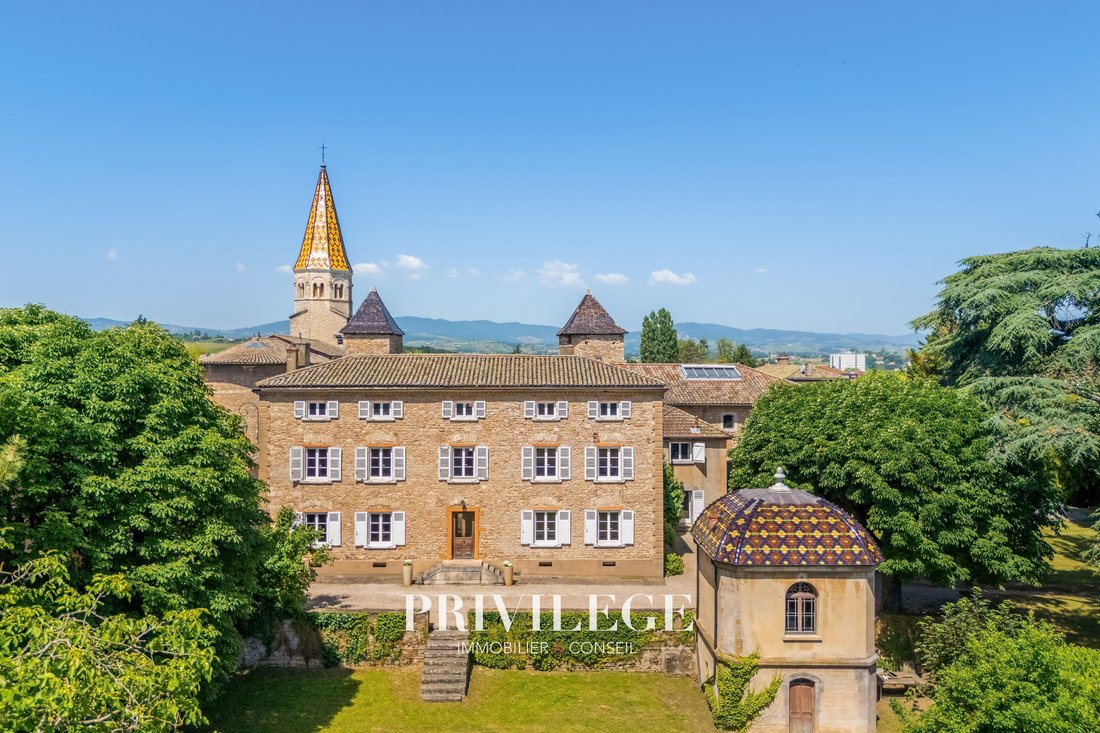 Castle in Limas, Auvergne-Rhône-Alpes, France 2 - 18096491