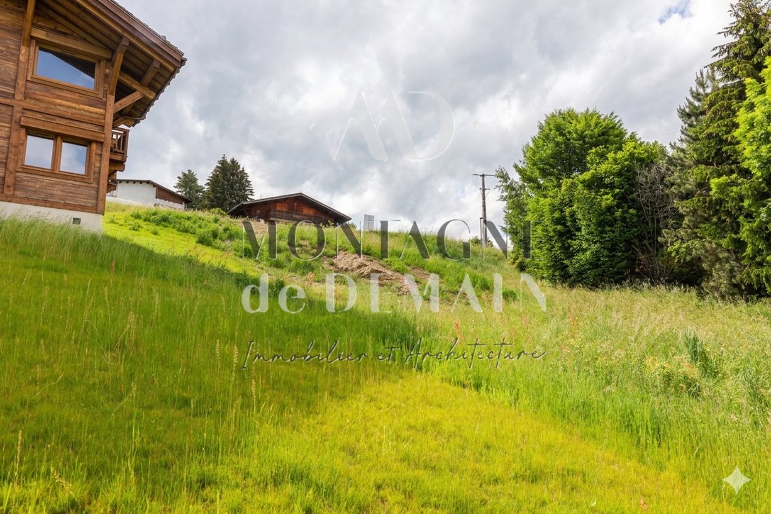 Land in Demi-Quartier, Auvergne-Rhône-Alpes, France 3 - 18103572