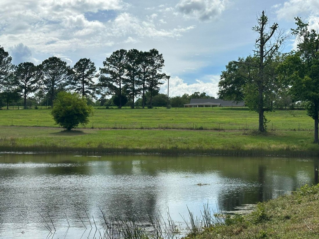 House in Florala, Alabama, United States 5 - 18108359