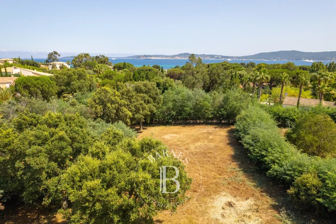 Land in Grimaud, Provence-Alpes-Côte d'Azur, France 1 - 14491162