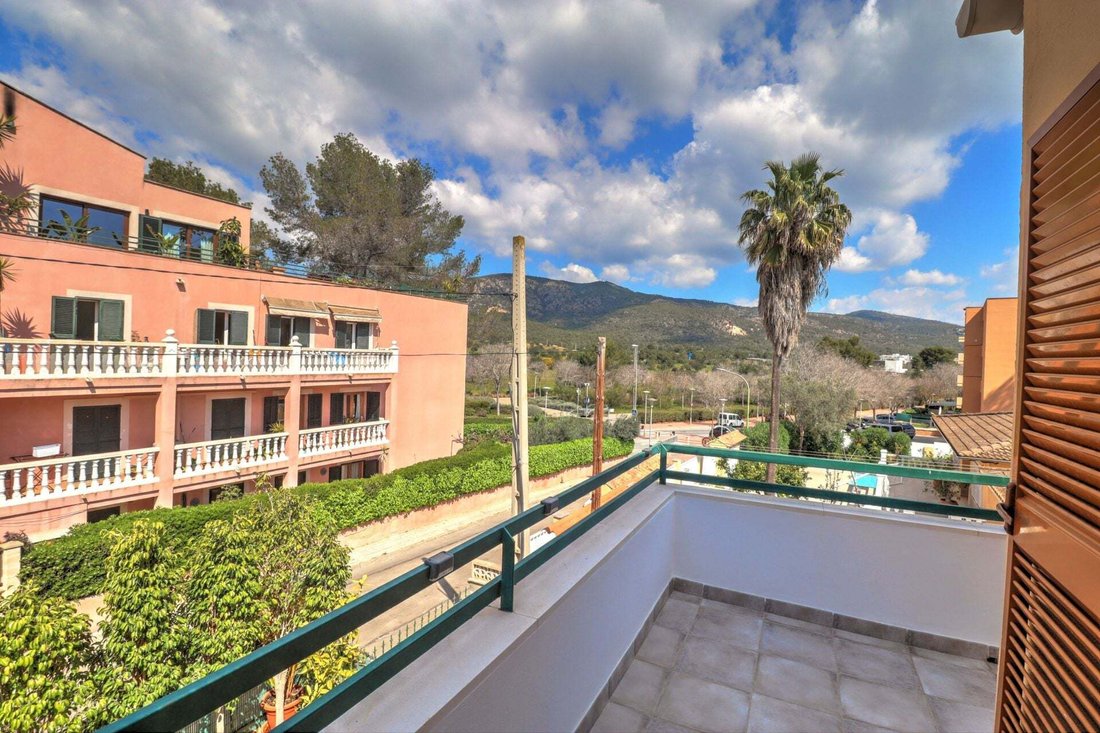 Apartment in Calvia, Balearic Islands, Spain 4 - 18091091
