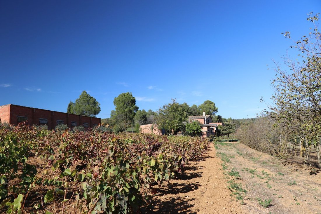 Finca in Cistella, Catalonia, Spain 3 - 18096424