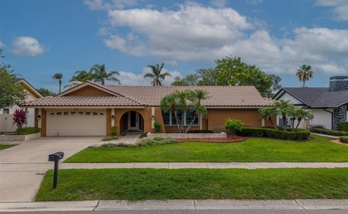 House in Tampa, Florida, United States 1