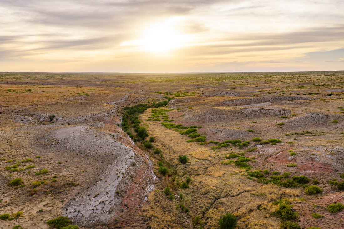 Farm Ranch in Fort Sumner, New Mexico, United States 3 - 18097509