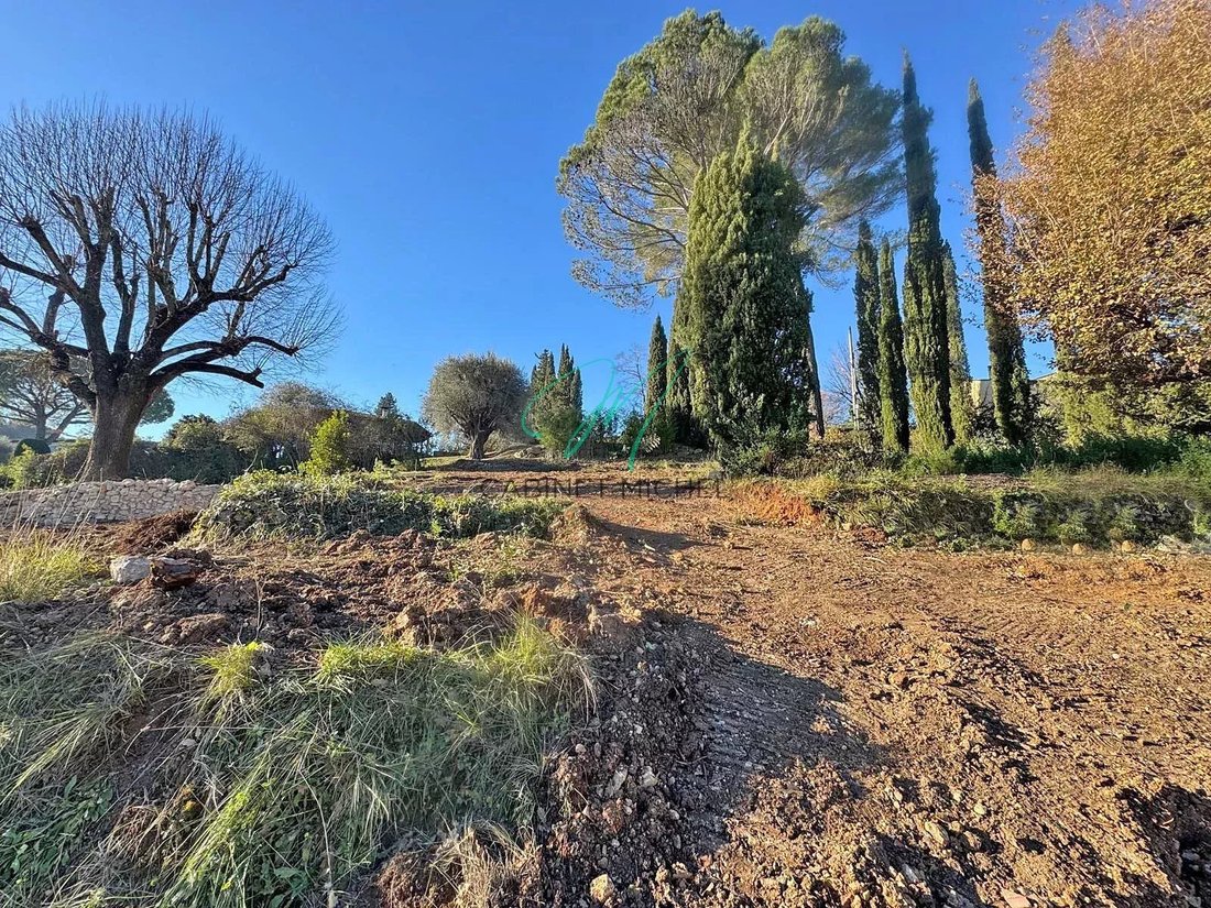 Villa in Valbonne, Provence-Alpes-Côte d'Azur, France 4 - 18091818