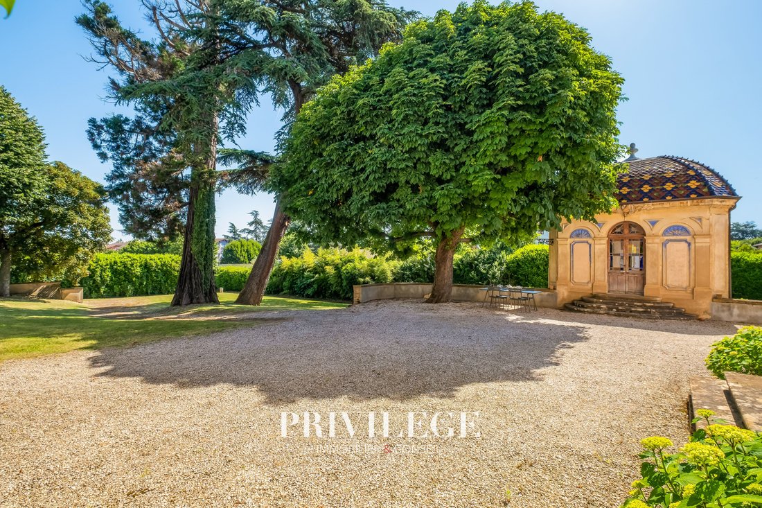 Castle in Limas, Auvergne-Rhône-Alpes, France 5 - 18096491