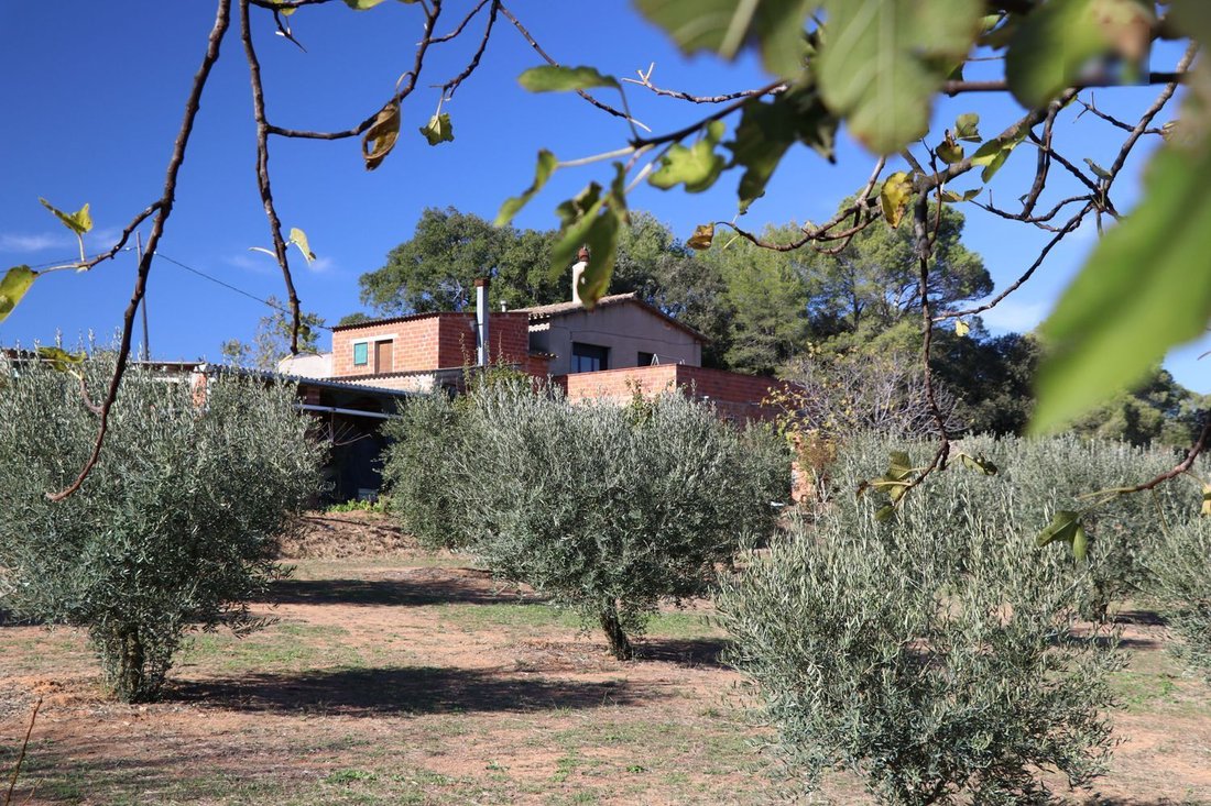 Finca in Cistella, Catalonia, Spain 2 - 18096424