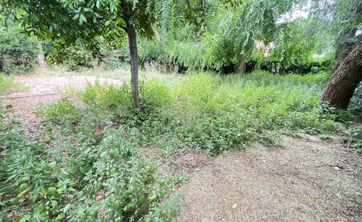 Land in Premia de Mar, Catalonia, Spain 1