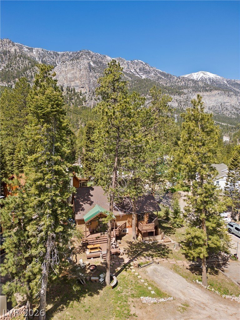 House in Mount Charleston, Nevada, United States 4 - 18101007