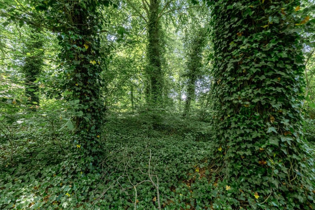 Land in Tervuren, Flanders, Belgium 4 - 18104091