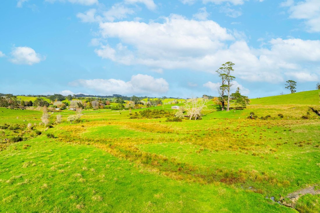 House in Waitoki, Auckland, New Zealand 4 - 18078102