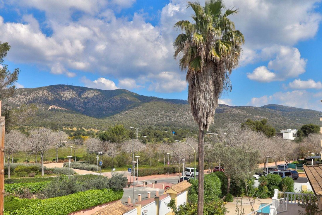 Apartment in Calvia, Balearic Islands, Spain 5 - 18091091
