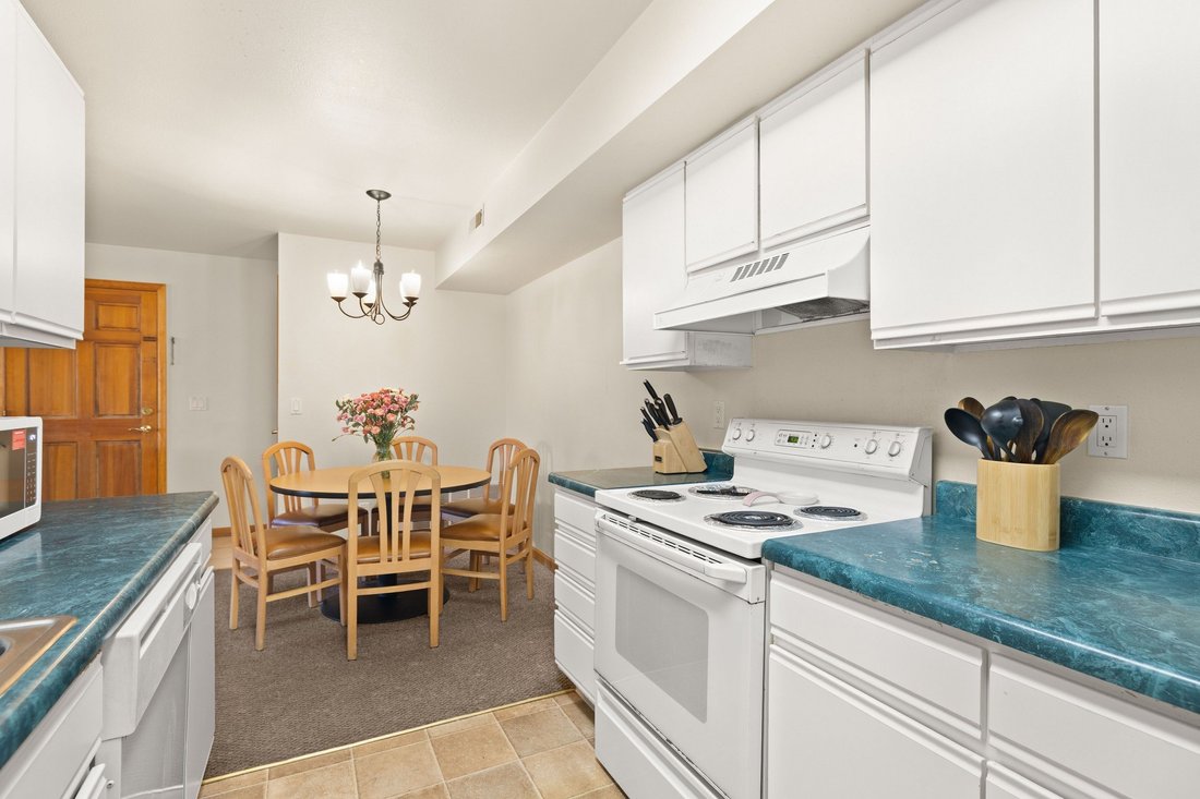Condo in Carbondale, Colorado, United States 4 - 18094506