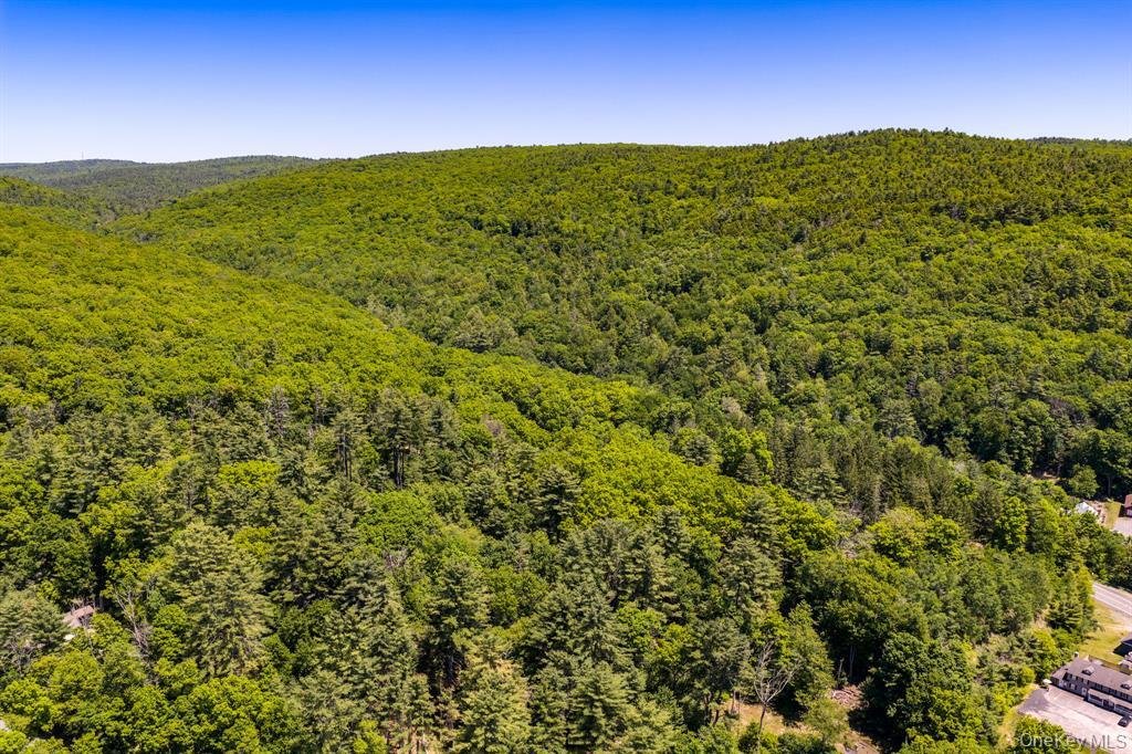 Land in Barryville, New York, United States 4 - 16876035