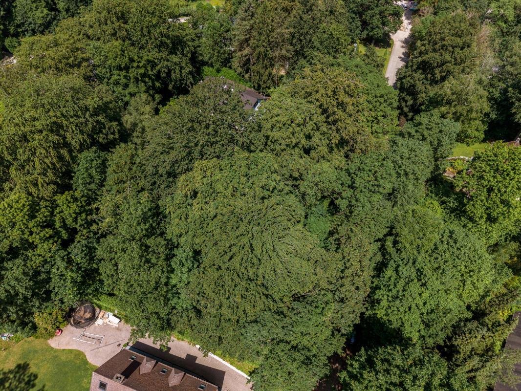 Land in Tervuren, Flanders, Belgium 5 - 18104091