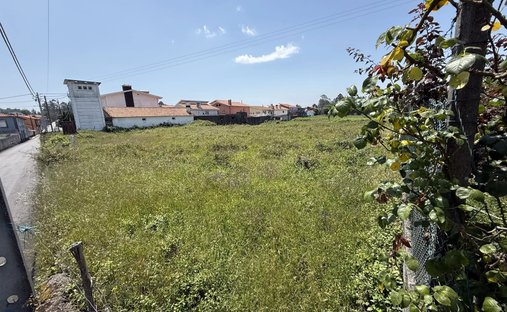 Terreno a Fiaes, Distretto di Aveiro, Portogallo 1