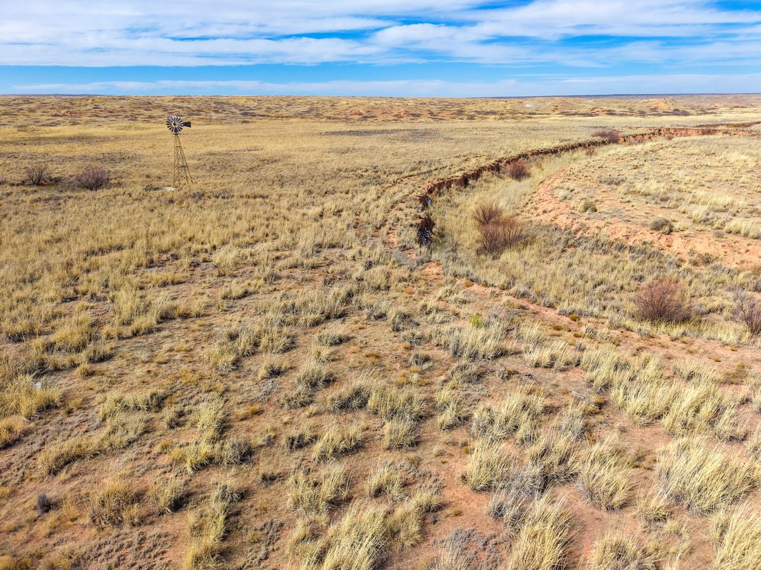 Farm Ranch in Fort Sumner, New Mexico, United States 2 - 18097509