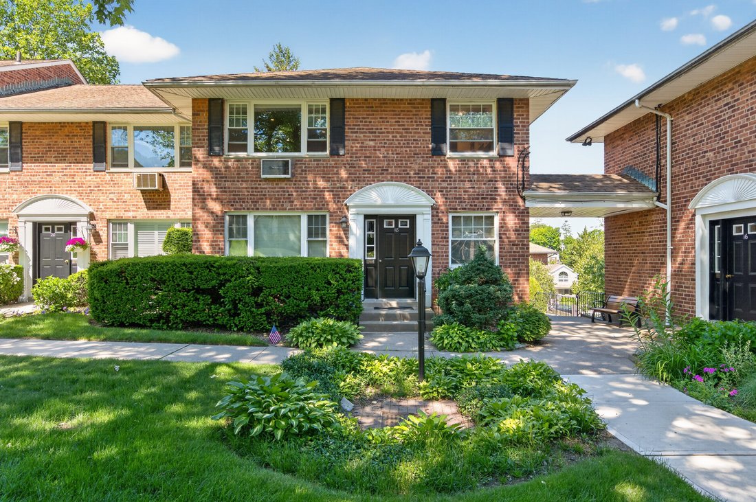Co Op in Port Washington, New York, United States 1 - 18094513