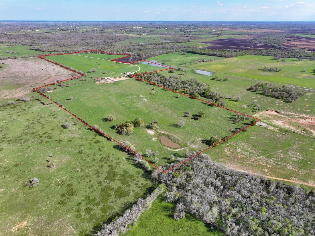 Farm Ranch in Navasota, Texas, United States 2 - 18095906