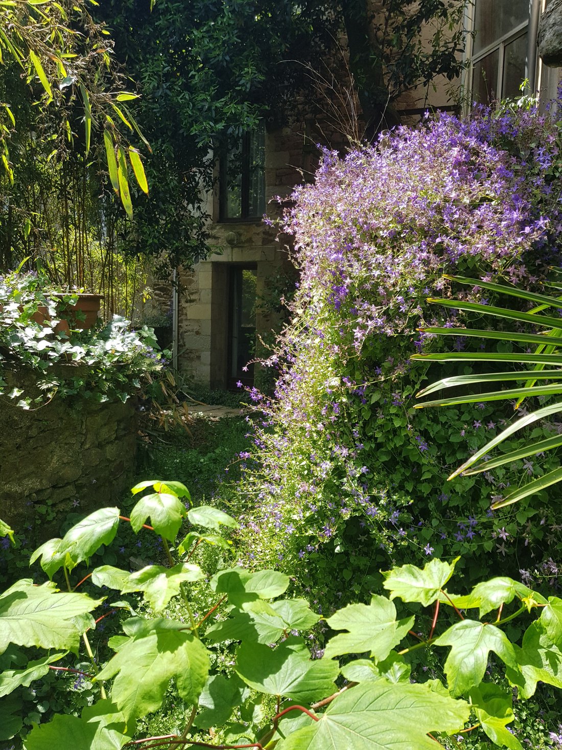 House in Tortière - Donatien, Nantes, France 4 - 17062073